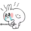 Rabbit👉🏻👉🏻 12