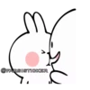 Rabbit👉🏻👉🏻 13
