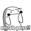 entrale perro!!
