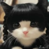 🥰😼KITTENS 2😻💖 9