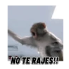 NO TE RAJES!!