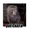 QUE CHAFA