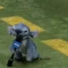 Stitch Película Live Action 🌊 5