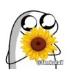 Flores amarillas 🌻🌼mov 10