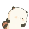 Panda Rojo 🦊 6