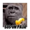 SOS UN PAJA