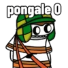 pongale 0 00
