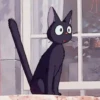 Ghibli  🐈🌟 11