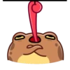toad mov 7