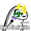 Flores amarillas 🌻🌼mov 12