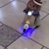 Labubu 😎 2