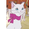 Ghibli  🐈🌟 13