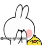 Rabbit👉🏻👉🏻 15
