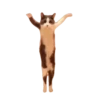 Animales Tiktok Viral 🐱🐈🐈‍⬛ 12