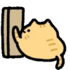 🧿Happy cat🐱🫶🏻 11