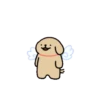 Couple doggy 5(retriever) 13