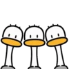 Ostrich 1 💖MOV 11