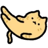 🧿Happy cat🐱🫶🏻 13