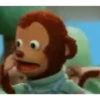 MEMES ANIMATED (italiani) 3 16