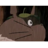 Ghibli  🐈🌟 17