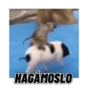 HAGÁMOSLO