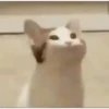 funny gifs 8