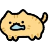 🧿Happy cat🐱🫶🏻 15