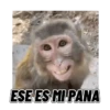 ESE ES MI PANA