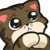 80 🐱 EmOtE MiX (Clásica) 14