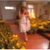 🌻Floricienta Flores Amarillas🌻 8