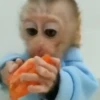 Monos. | @ocenferios  Haki. 6