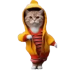 Animales Tiktok Viral 🐱🐈🐈‍⬛ 14