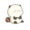 Panda Rojo 🦊 12