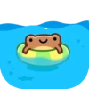 toad mov 17