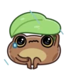toad mov 23