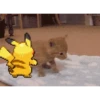 funny gifs 11
