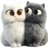 Amor Gatuno💗💞1🇵🇪Movi 20