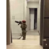 Bebe 8