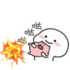 Quby Pig Series 16