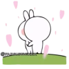 Rabbit👉🏻👉🏻 25