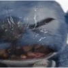 Stitch Película Live Action 🌊 13