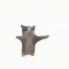 Gatos lol - tiktok 😹 13
