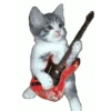 Gatos lol - tiktok 😹 14