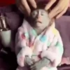 Monkeys 7