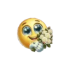 Emoji amoroso 😊💞 moví 🇲🇽 20
