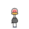 Ostrich 1 💖MOV 17