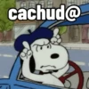 cachud@