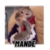 MANDE