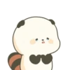 Panda Rojo 🦊 21