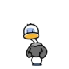 Ostrich 1 💖MOV 19